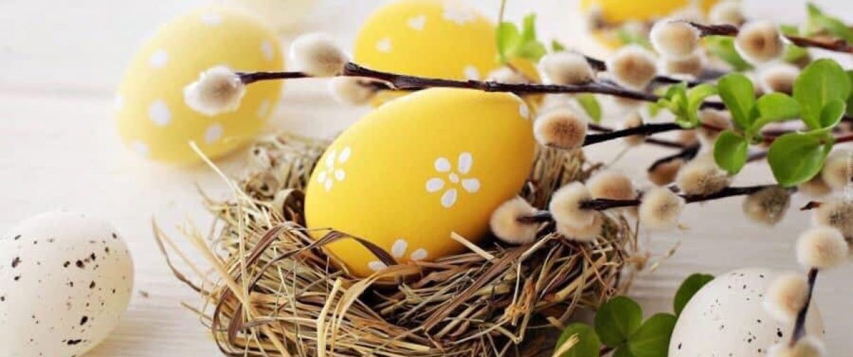 Ägg