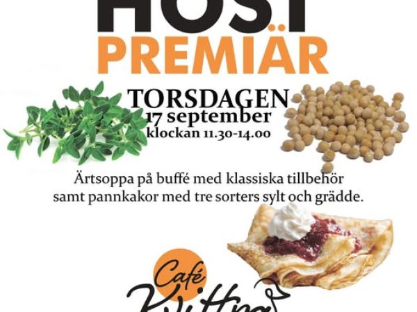 Ärtsoppa