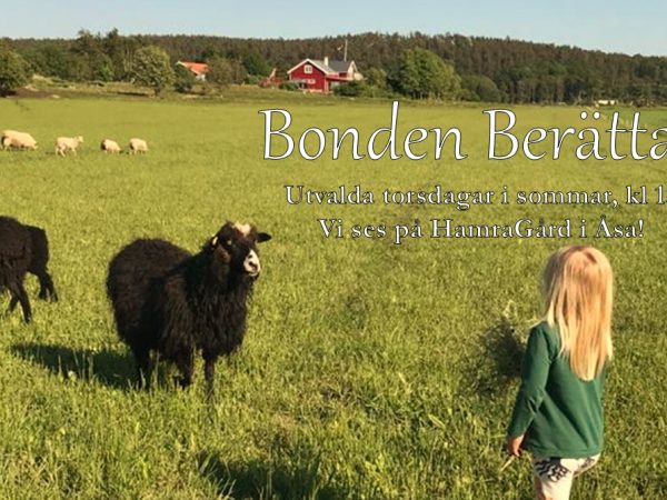 Bonden berätar