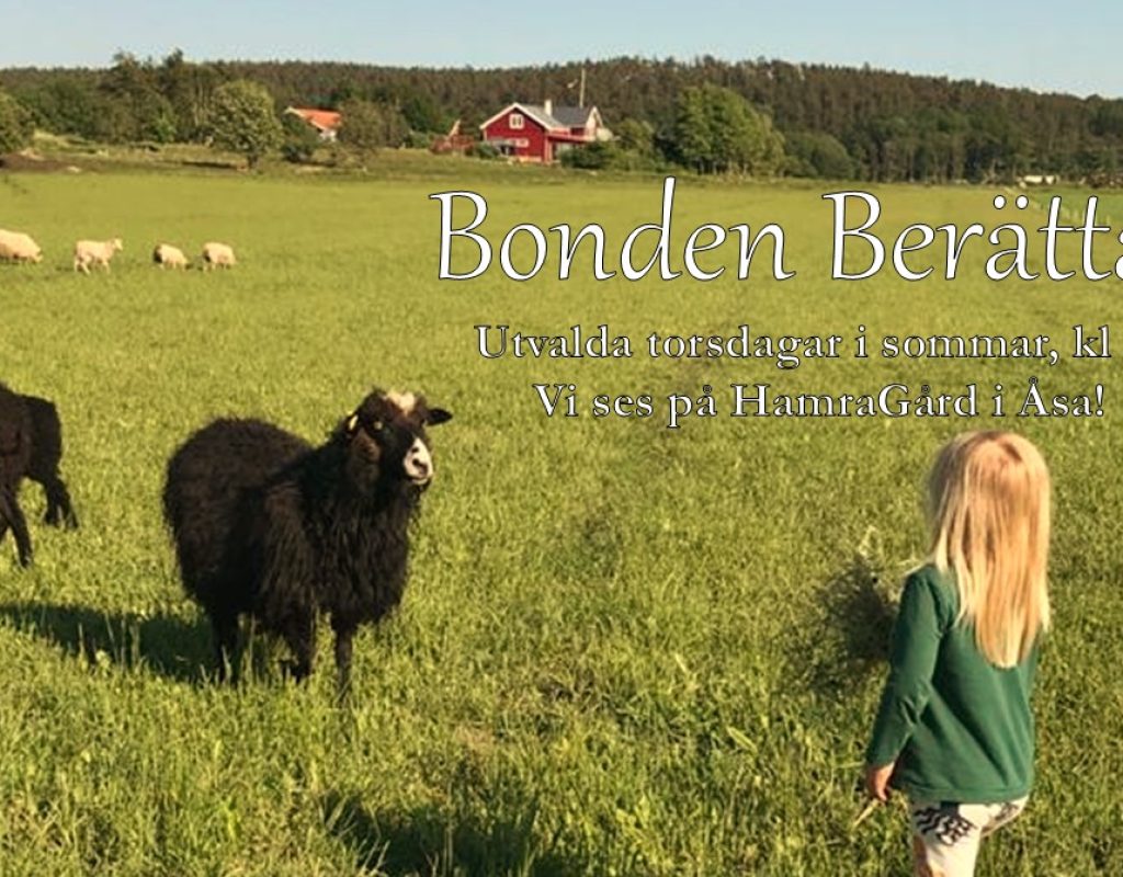 Bonden berätar