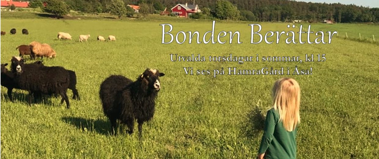 Bonden berätar