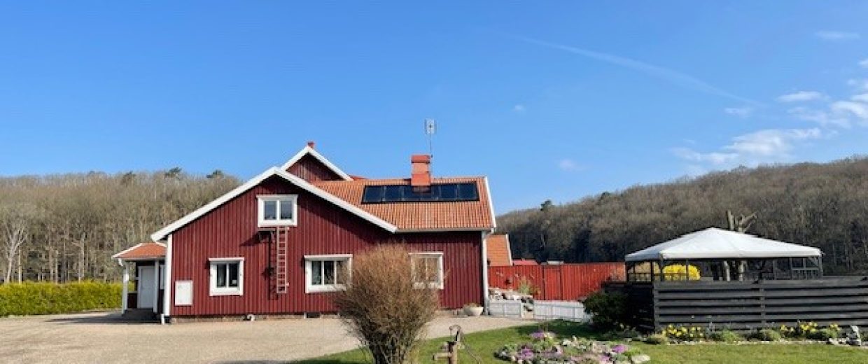 säll